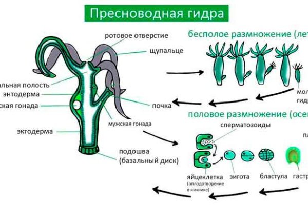 Ссылка кракен через тор