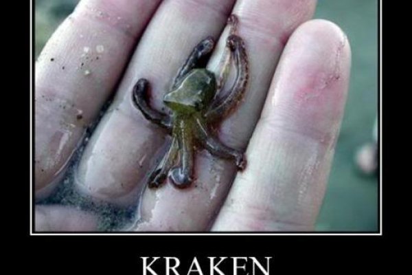 Kraken ссылка официальная