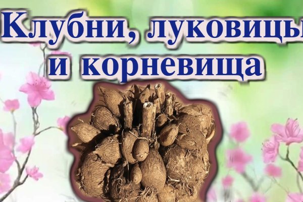 Услуги даркнета