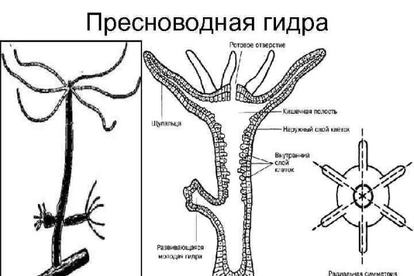 Регистрация на сайте кракен