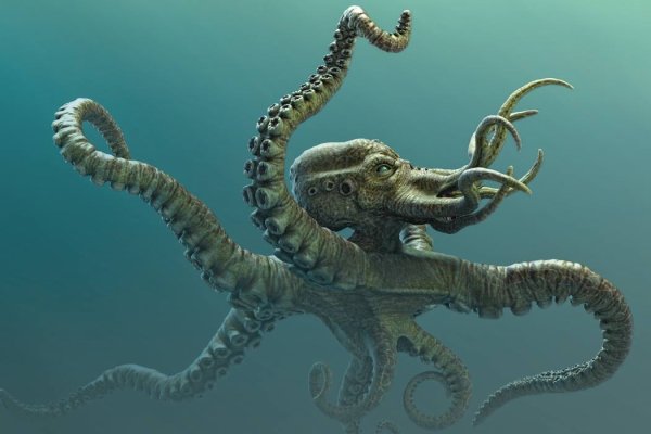 Кракен официальная ссылка kraken torion