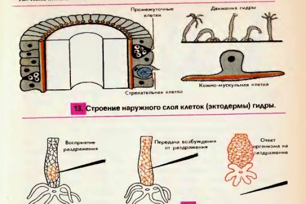 Ссылка адрес на кракен