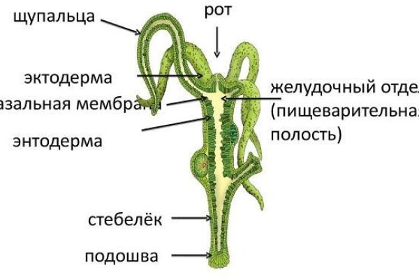 Кракен даркнет рекламы